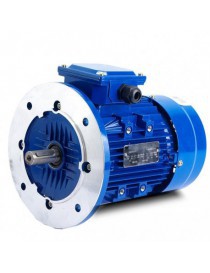 Drehstrommotor 25.00CV B5 Achse 48